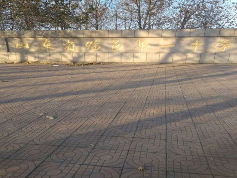山东德州临邑首要中学体育馆木地板项目案例