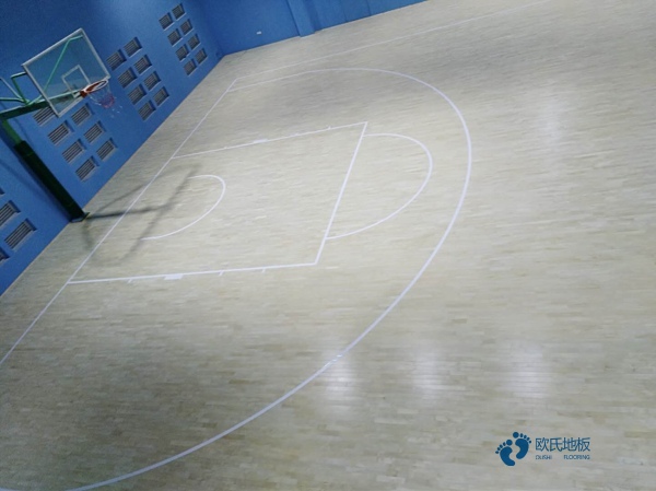 悬浮篮球运动木地板消光